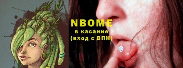 ГАЛЛЮЦИНОГЕННЫЕ ГРИБЫ Дмитриев
