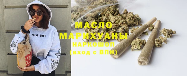 ГАЛЛЮЦИНОГЕННЫЕ ГРИБЫ Дмитриев