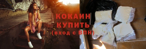 ГАЛЛЮЦИНОГЕННЫЕ ГРИБЫ Дмитриев