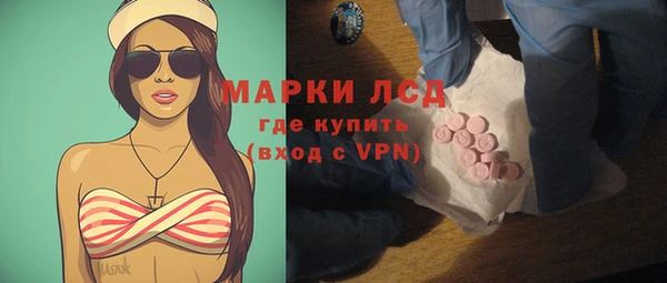 ГАЛЛЮЦИНОГЕННЫЕ ГРИБЫ Дмитриев
