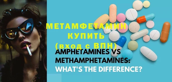 ГАЛЛЮЦИНОГЕННЫЕ ГРИБЫ Дмитриев