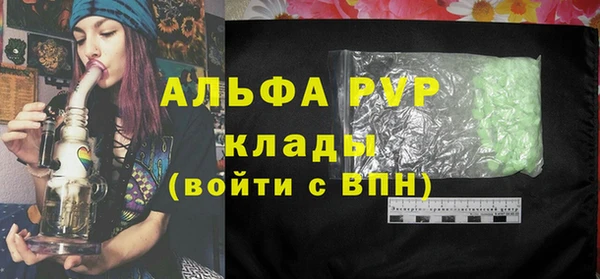 ГАЛЛЮЦИНОГЕННЫЕ ГРИБЫ Дмитриев