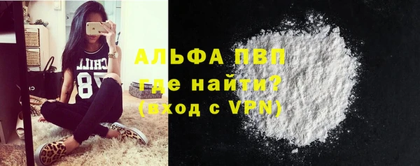 ГАЛЛЮЦИНОГЕННЫЕ ГРИБЫ Дмитриев