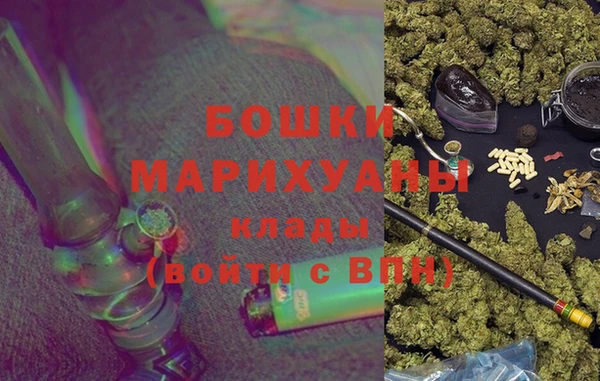 ГАЛЛЮЦИНОГЕННЫЕ ГРИБЫ Дмитриев
