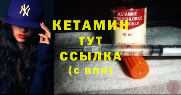 ГАЛЛЮЦИНОГЕННЫЕ ГРИБЫ Дмитриев