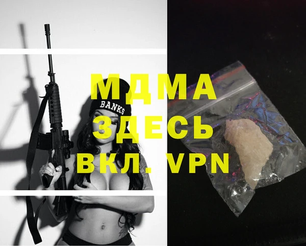 ГАЛЛЮЦИНОГЕННЫЕ ГРИБЫ Дмитриев